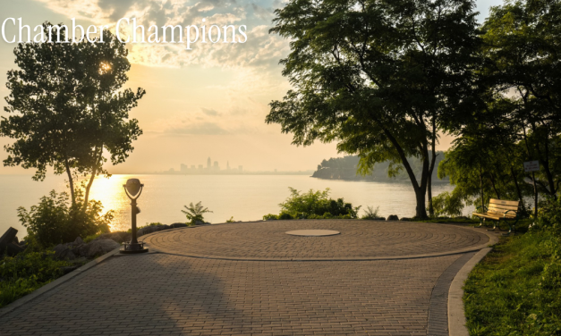 Invest in Chamber Champions